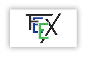 feex logo
